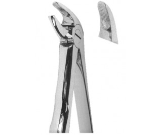 Extracting Forceps With Anatomically Shaped Handle